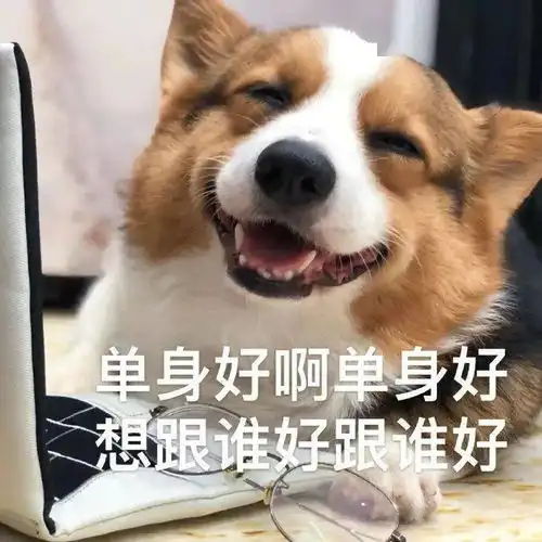 单身狗必备表情包美女只能孤芳自赏