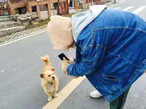 那个神仙玩耍的地方神木垒达瓦更扎