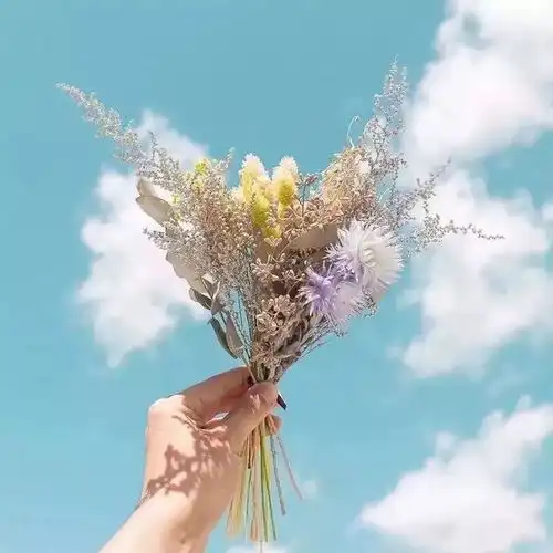 让人心碎的句子你看这个人,嘴里说喜欢我,又让我这么难过