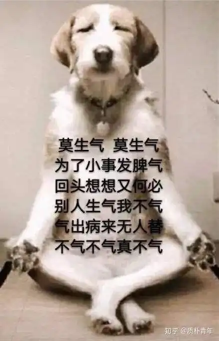 2019年产品工作总结