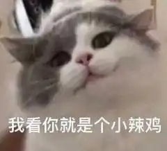 画面感满满的游乐场经历,这也太太太惨了