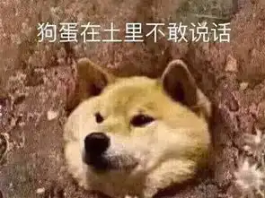 曾经国产游戏的荣耀,现在逐渐迷失自我玩家越做越像dnf