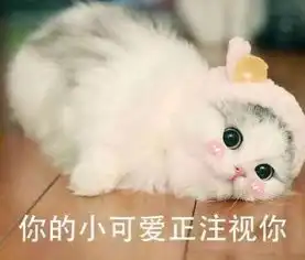 学生党不可错过的宿舍神器高考之前统统种草给泥萌