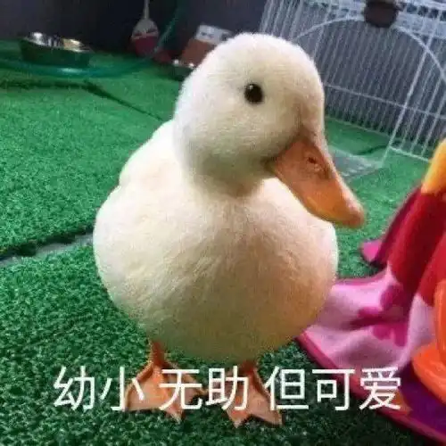 笑话段子我在夜市摆了个摊贴膜,需要你的帮助