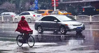 车轮滚滚雪花飘