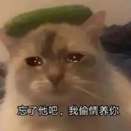 表情包小可爱来了