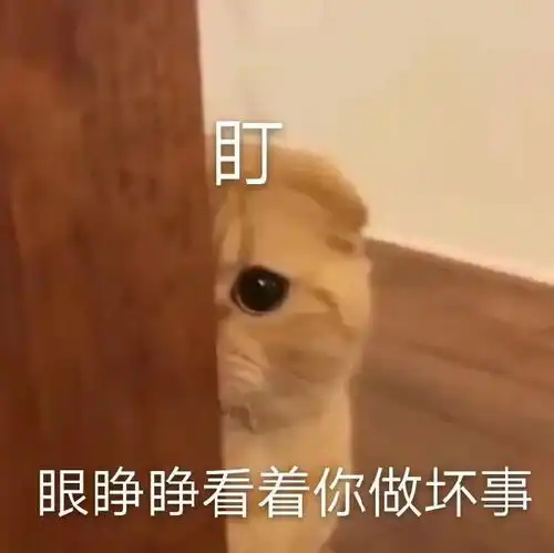 最新表情包图片做坏事的时候,有人正眼睁睁的看着