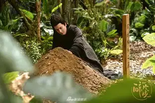 醉玲珑精彩收官从上映至今有好评也有差评众多粉丝意犹未尽2