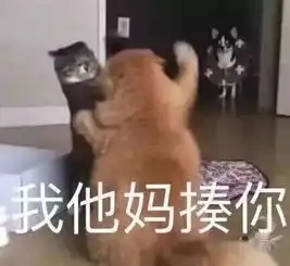可爱小动物表情包,泡妞专用