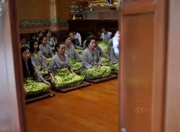 庐山禅修营吸引众白领净化身心