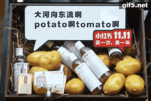 天价收购失败,电商新人范冰冰自创品牌,投资版图再扩张