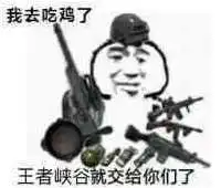 我去吃鸡了王者峡谷就交给你们了表情包图片高清无水印版分享