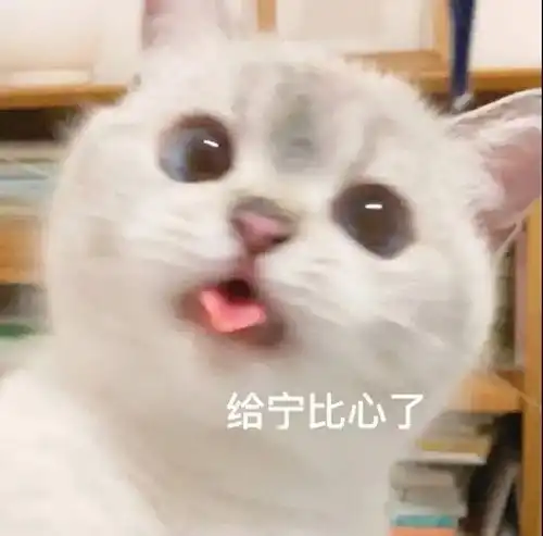 小说