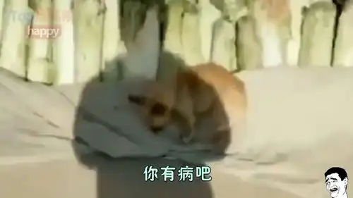 爆笑网络一线牵,珍惜这份缘,说好的闭月羞花呢