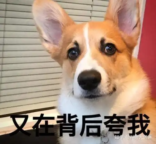 哪些靠谱的免费试用平台推荐的