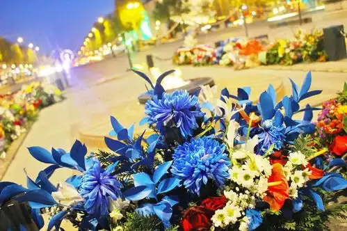 5000元也能去巴黎,玩转十大著名景点一个都不错过