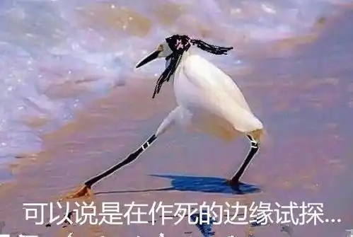 开往琼中的客车正行驶,他竟抢夺方向盘,幸好司机临危不乱...