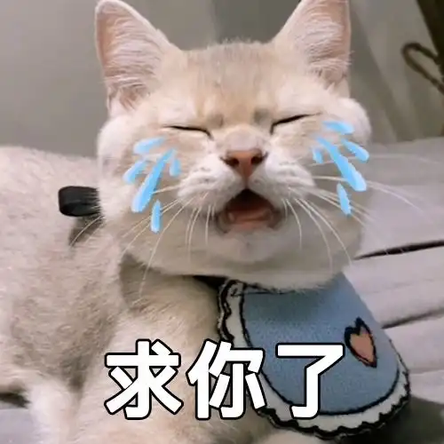 第66期喵表情不正经地下吸猫场所,猛男50,猛女免费