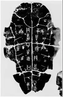 张彦涛医疗与医保的三生三世