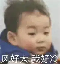 适合单身狗发的520搞笑表情包你有你的520,我有我的502