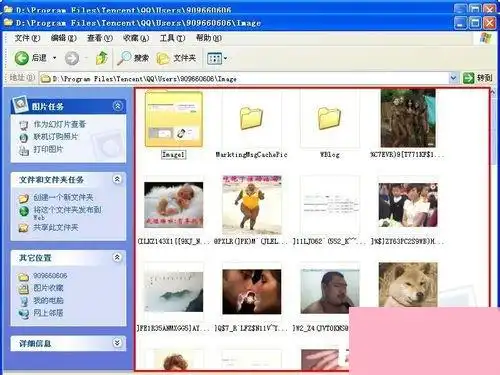 电脑系统小知识qq表情在哪个文件夹里查看qq表情在哪个文件夹里的步骤