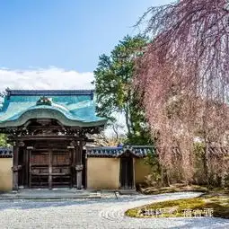 京都高台寺茶道与坐禅体验攻略,高台寺茶道与坐禅体验门票游玩攻略地址图片门票价格