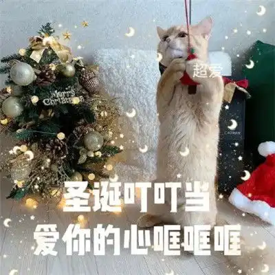 圣诞节萌娃表情今年又是一个人过圣诞