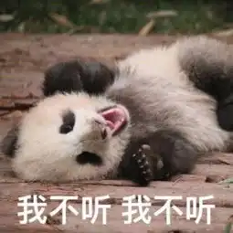 国宝大熊猫滚滚表情包