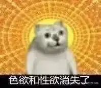 奇怪的姿势增加了这只突然占据全网表情包的沙雕猫,竟然是
