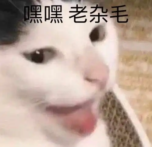 沙雕表情包l简单介绍一下我自己