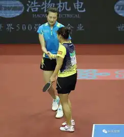 一黑到底顾玉婷木子连克世锦赛冠亚军夺全运会女双金牌乒乓世界