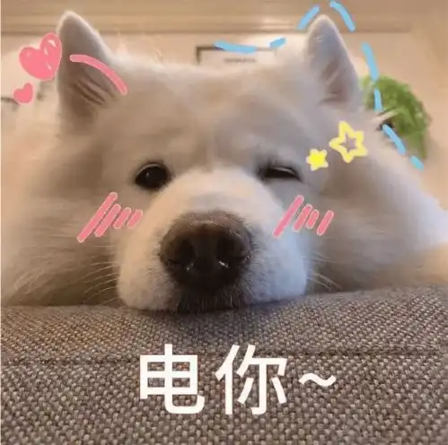 冷空气来了不怕不怕这个周末给你双重温暖