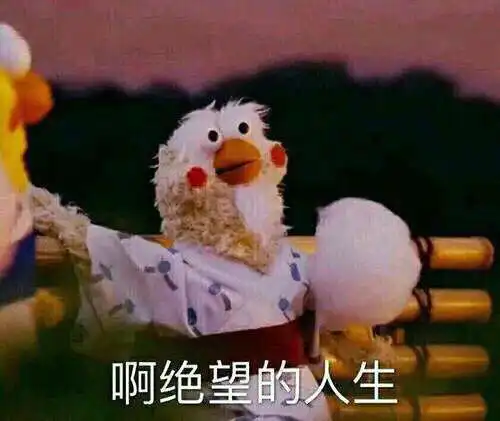 说说自己当年看小言站错的cp
