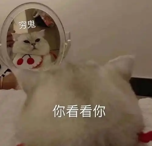 杨洋个人建议