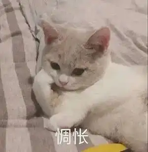 抖音表情包大全丨为什么又是我