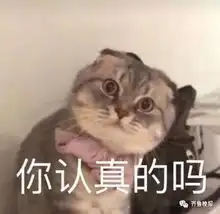 山东一高校申请改名财富管理大学引网友吐槽,学校更名是全校人的梦想