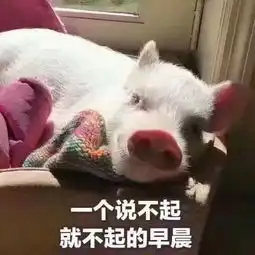你如何评价自己2018年的寒假生活