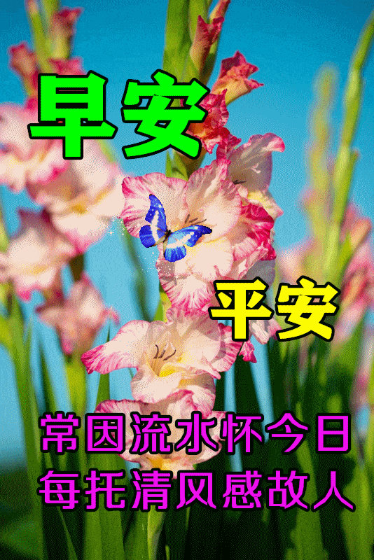 天冷的早安问候语句子,天冷的问候表情动图图