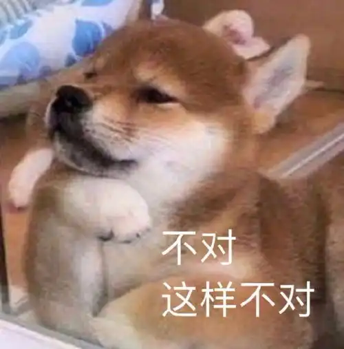 一组超可爱的萌宠表情包,太戳我啦