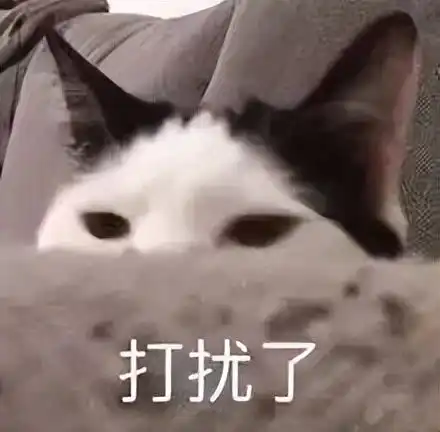 抖音收藏的表情哪里找今日头条