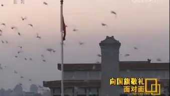 面对面向国旗敬礼