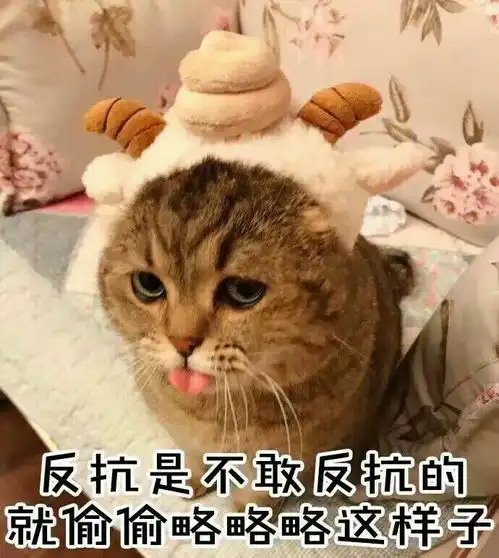 你见过最暖心的表情包是什么