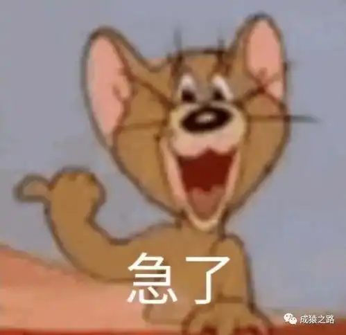520都准备好了吗送大家一些金句,进来看看吧