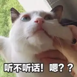 就让我沉迷吸猫,日渐消瘦