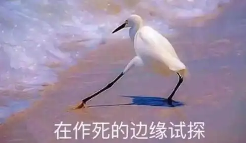 传祺ga4plus,在作死的边缘疯狂试探