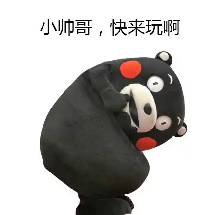 海豚家族照相馆招小伙伴啦,我们的征途是星辰大海