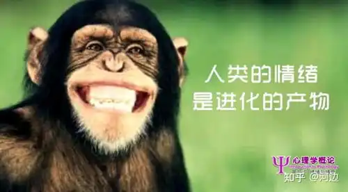 第7章情绪与情感