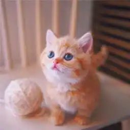 萌猫咪可爱高清头像我还是只想要你