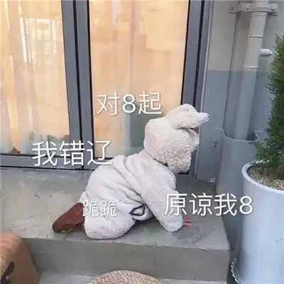 道歉专用表情包让别人马上原谅你