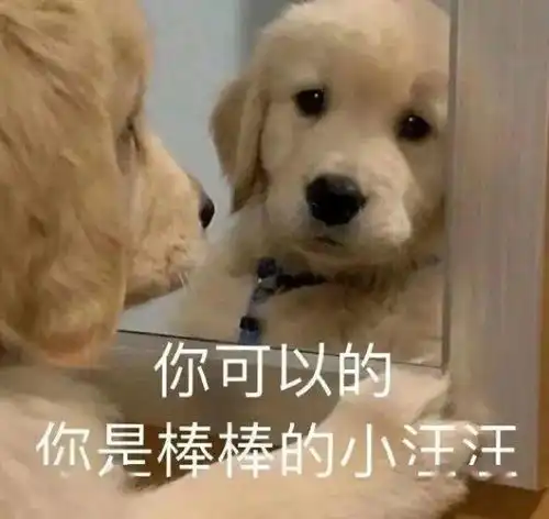 大一凭什么不能报四六级